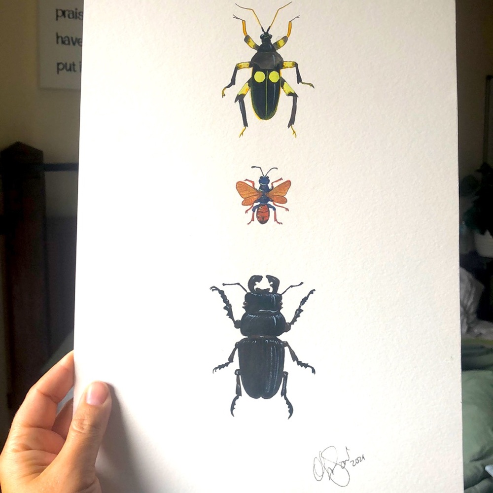 Insect Bug Original watercolor painting